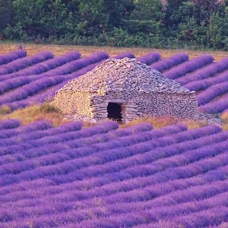 Entre Ventoux Et Luberon Chambre D'Hote ソー・ドゥ・ヴォクリューズ エクステリア 写真